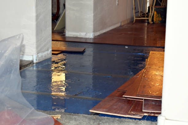 Professional Basement Flooding technician working in Amherst, TX